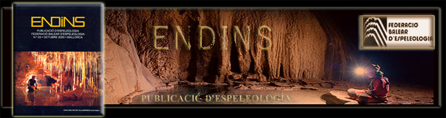Endins : Publicació d'Espeleologia